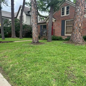 Lawn Treatment by  reviewed on November 25, 2025