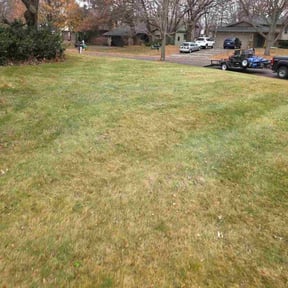 Leaf Removal by Bladestone Property Care reviewed on November 19, 2025