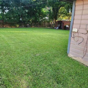 yard work by Green Forrest Lawn Care reviewed on August 18, 2025