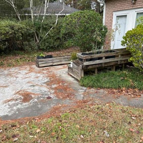 Bush Trimming by Irie Lawns reviewed on December 3, 2025