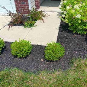 Flower Bed Weeding by SHAWNs LAWNs reviewed on August 21, 2025