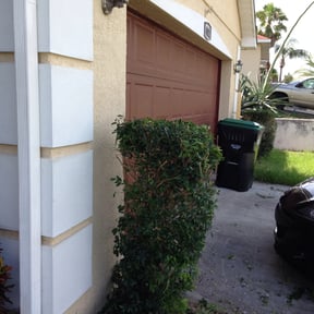 Bush Trimming by RTH Lawn Service & Landscaping LLC reviewed on August 17, 2025