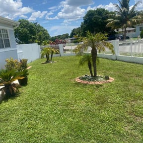 gardening service by J Jr’s Lawn Maintenance reviewed on August 20, 2025