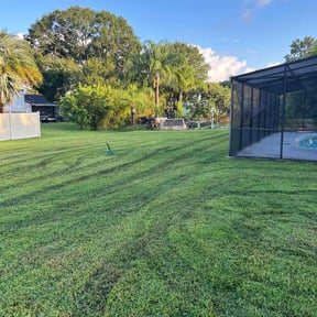 yard maintenance by Evergreen Outdoor and Construction reviewed on November 27, 2025