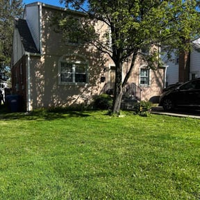 lawn maintenance by BPR Home Solutions LLC reviewed on June 1, 2025