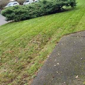 Leaf Removal by B&amp;C Lawn and Landscaping LLC reviewed on September 26, 2025