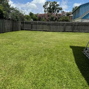 grass maintenance by Fredrick Miller reviewed on May 10, 2024