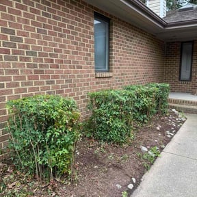 grass cutting by GGlawncare reviewed on August 10, 2025