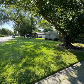 yard care by (BO)2 Lawncare reviewed on November 24, 2025