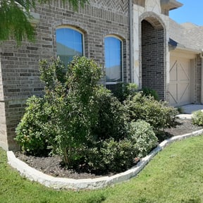 Bush Trimming by Premium Design Landscaping Inc reviewed on August 14, 2025