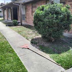 Bush Trimming by Mow & Go reviewed on August 15, 2025