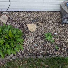 Flower Bed Weeding by Fredrick  Miller reviewed on May 10, 2026