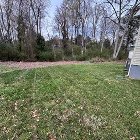Leaf Removal by B&amp;C Lawn and Landscaping LLC reviewed on April 13, 2026