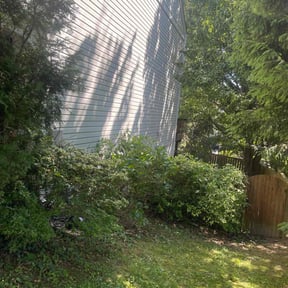 Bush Trimming by "It's Just Grass" , lawn care/landscaping reviewed on August 16, 2025