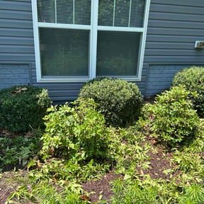 Bush Trimming by J and M Lawn Service and More LLC reviewed on August 15, 2025