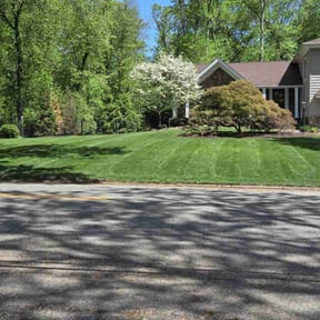 gardening service by Toms landscaping reviewed on August 16, 2025