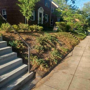 Flower Bed Weeding by Tony Top-Notch Mowing reviewed on May 16, 2026