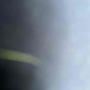 Bush Trimming by 5280 Lawns Llc reviewed on May 13, 2025