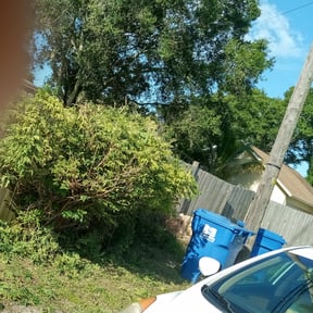 Bush Trimming by Sergios lawn reviewed on August 19, 2025