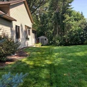 residential landscaping by Stay Green Lawn, Landscape, and Snow reviewed on August 19, 2025