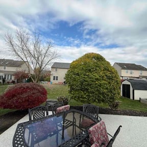 Bush Trimming by Jaycutslawn services  reviewed on September 8, 2023