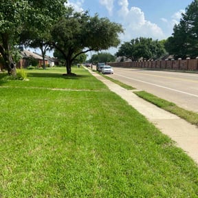 Leaf Removal by Clean Slate Cleaning &amp; Lawn Care Services reviewed on July 18, 2022