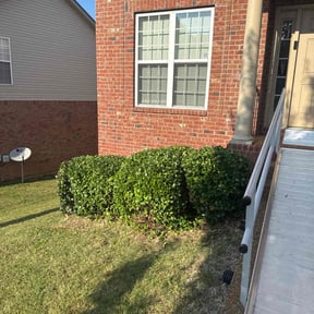 Bush Trimming by Young&#039;s Lawn Care Services reviewed on November 18, 2025