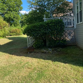 Bush Trimming by Yard Bandit Lawn Services reviewed on August 16, 2025