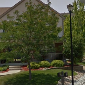 Bush Trimming by ELEVENS EXTERIOR FINISHES LLC reviewed on August 17, 2025