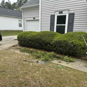 Bush Trimming by Ayala Enterprises LLC reviewed on August 19, 2025