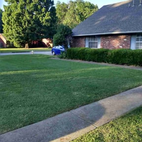 grass maintenance by Local Green Lawn Care LLC reviewed on November 14, 2023