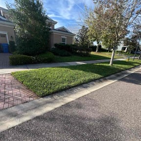 lawn service by Salvador Lawn and Tree Service reviewed on May 7, 2024