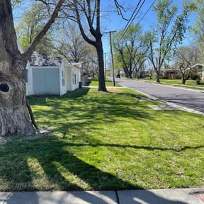 landscape maintenance by The Lawn Cypress reviewed on October 19, 2025