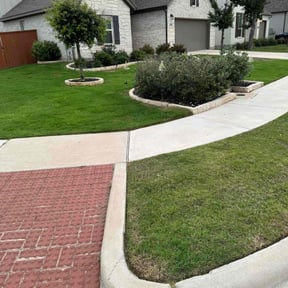 landscaping by Canito Dynamic Landscaping reviewed on August 19, 2025