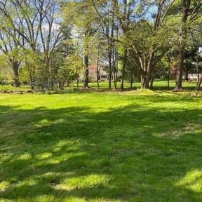 lawn care services by Domínguez Services reviewed on June 16, 2025