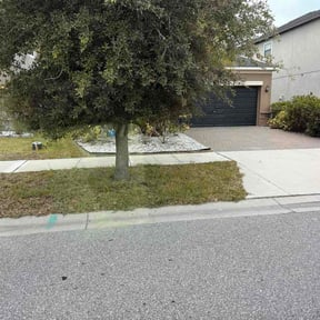 Flower Bed Weeding by Tolene Lawncare llc reviewed on May 10, 2026