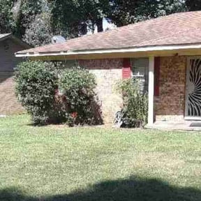 Bush Trimming by EZGO Lawn Services LLC reviewed on August 18, 2025