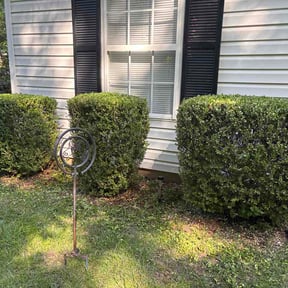 Bush Trimming by Lawn Barber reviewed on June 18, 2026