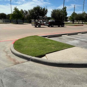 residential landscaping by Abney's lawncare reviewed on August 17, 2025