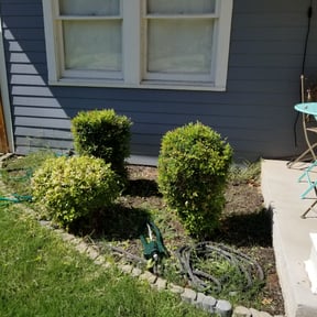 Bush Trimming by Unlimited Lawn Care reviewed on August 17, 2025