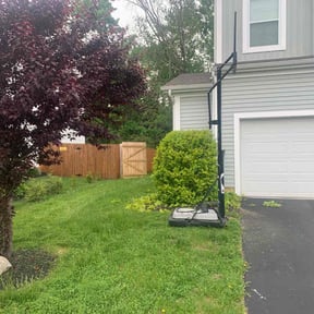 Bush Trimming by Rjs landscaping and general clean up llc reviewed on August 18, 2025