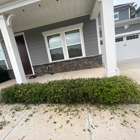 Bush Trimming by Durham Housing & Construction Services Inc reviewed on August 15, 2025