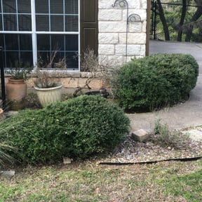 Bush Trimming by JWALL Lawn Care, LLC reviewed on August 21, 2025