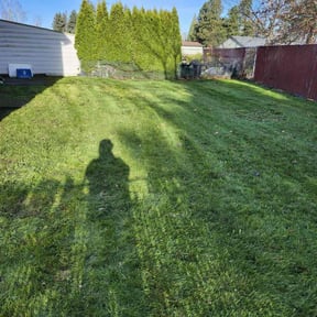 lawn maintenance by J.C.London's Lawn and Landscaping Services LLC reviewed on February 12, 2024