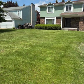 yard maintenance by Chai Vue reviewed on August 18, 2025