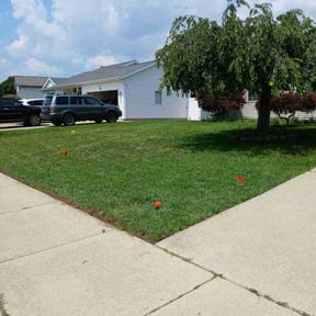 yard service by Landscapers reviewed on August 15, 2025