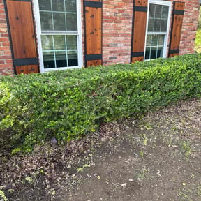 Bush Trimming by Parker Landscape & Maintenance reviewed on August 21, 2025