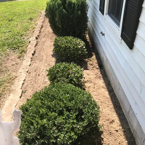 Flower Bed Weeding by Caesar’s Premier Landscaping reviewed on August 20, 2025