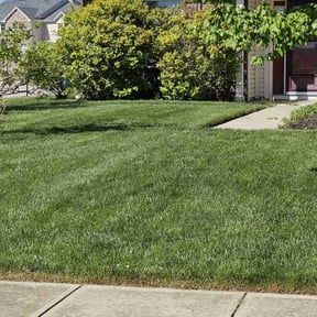 landscaping by Mann Services reviewed on August 18, 2025