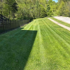 yard care by Marshall mowing reviewed on August 20, 2025